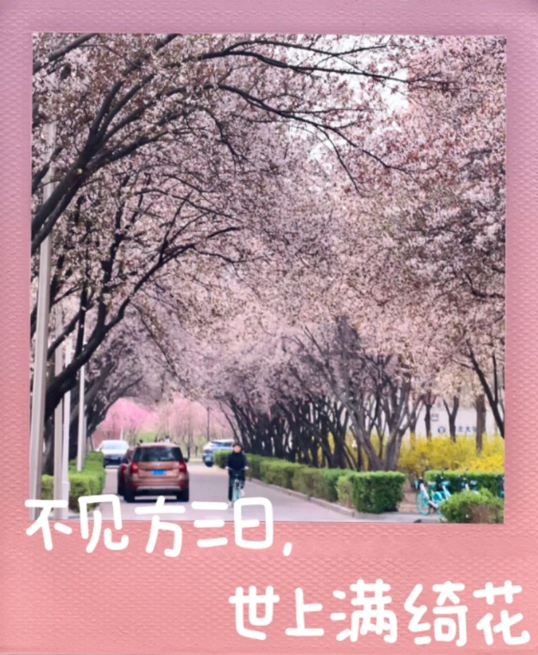 3A63A