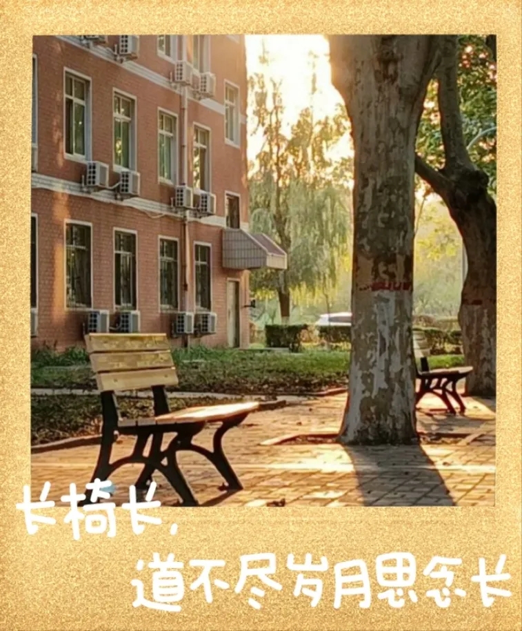 7E8C7